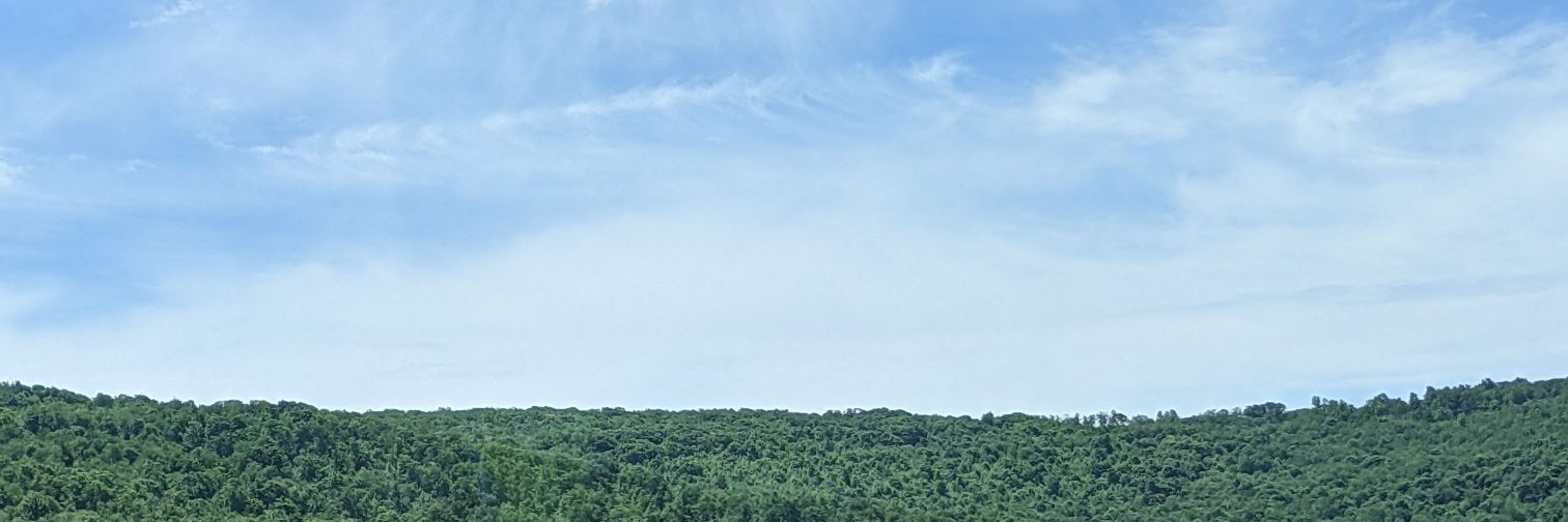 lexinterrupted's profile banner image
