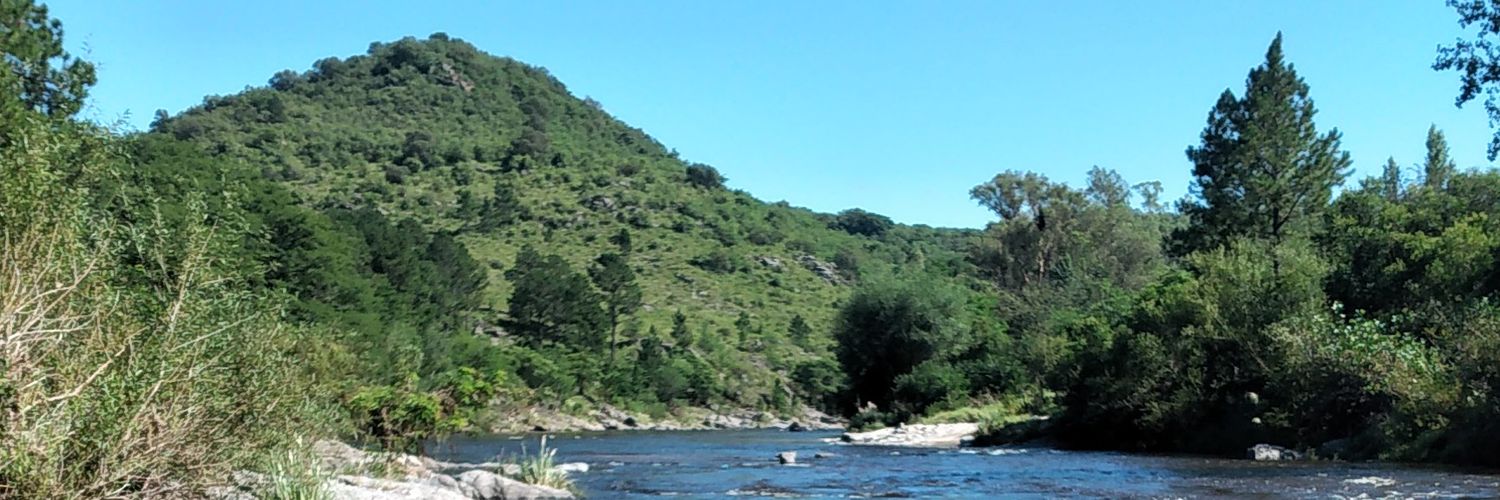 meriscapini's profile banner image