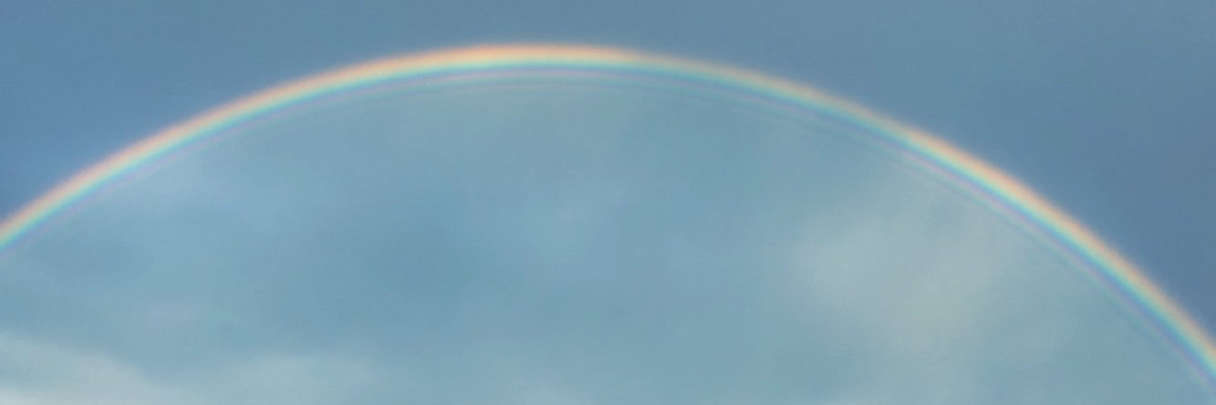 stephcoop banner