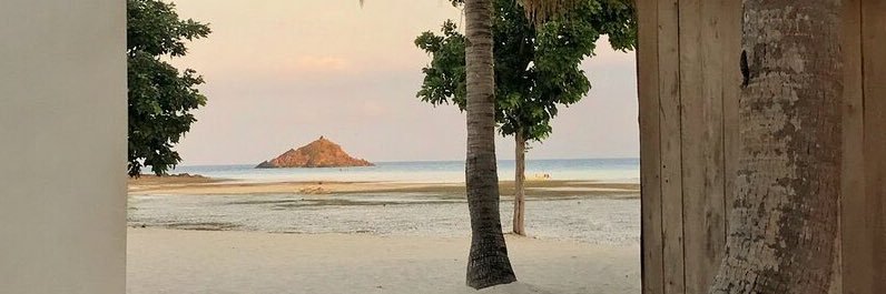 dinaxgashi's profile banner image
