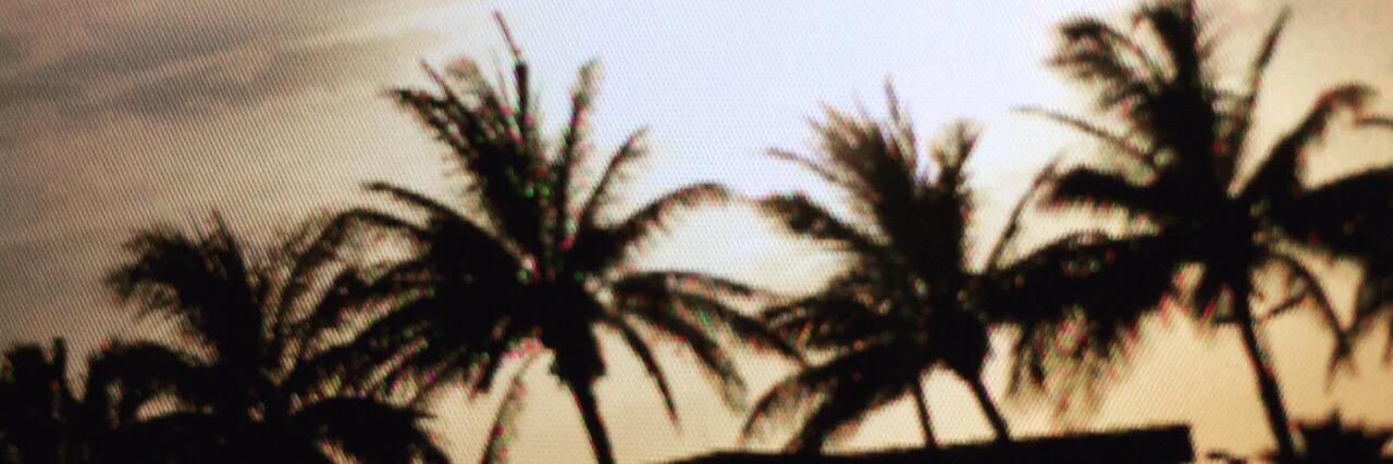 ابوروين banner