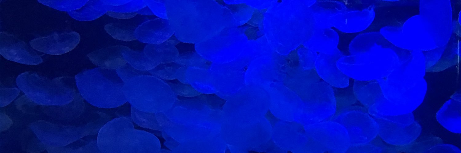 HiegerM's profile banner image