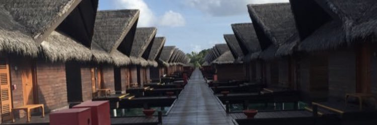 mnieaam's profile banner image