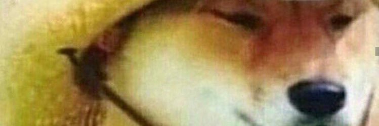 hannahkharriss's profile banner image