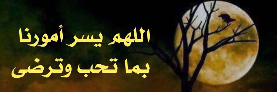ماجد الصويلح banner
