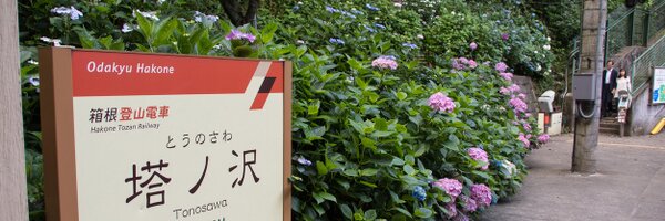 t_okada Profile Banner