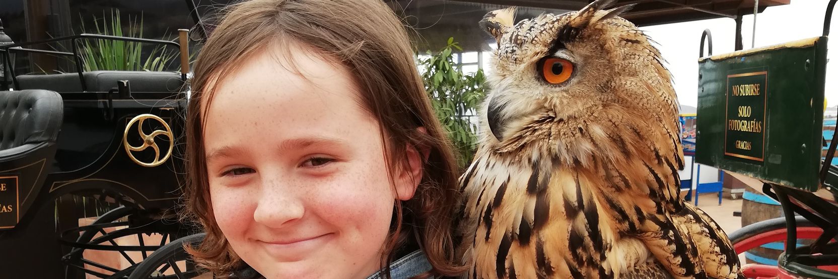 Claire Fraser banner