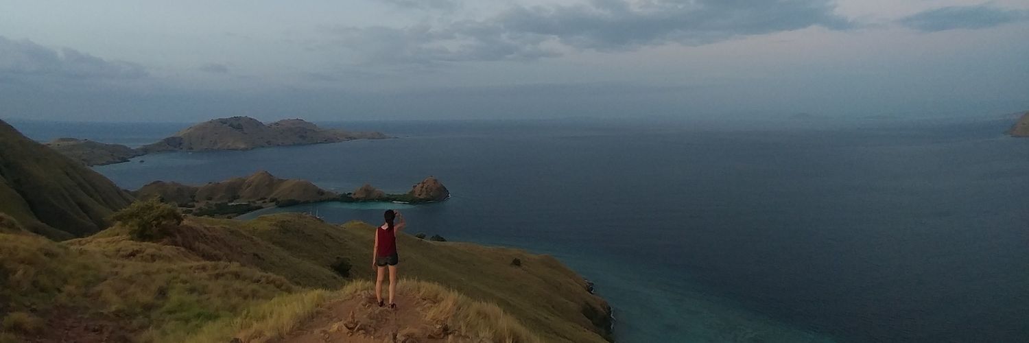 monkiechie's profile banner image