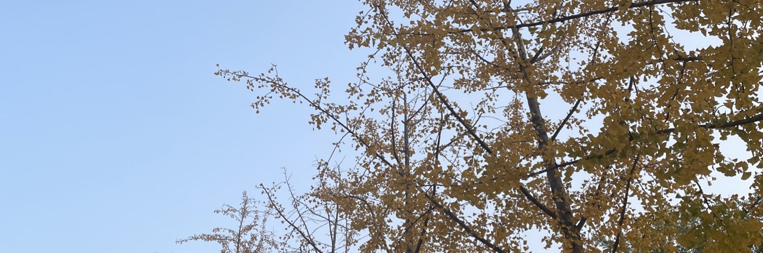 heikaall's profile banner image