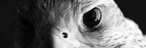 MtMtaaa's profile banner image