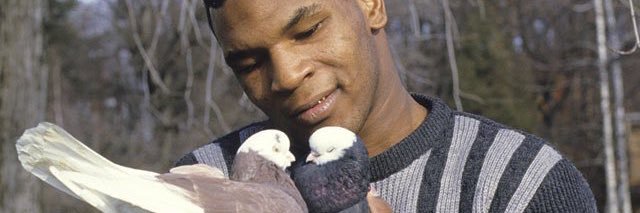 kellypuss's profile banner image