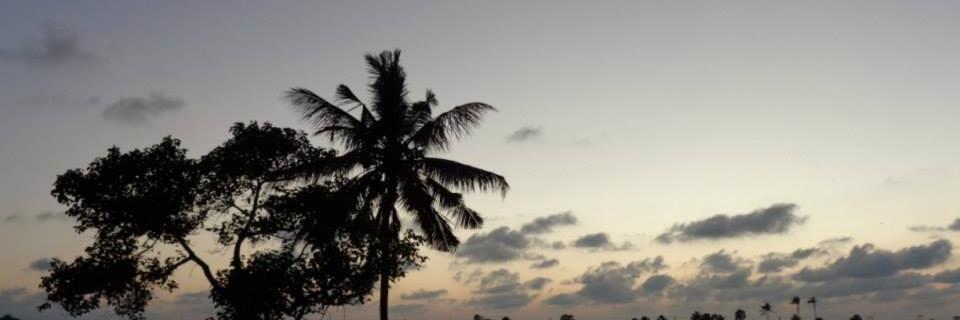 sssenthan's profile banner image