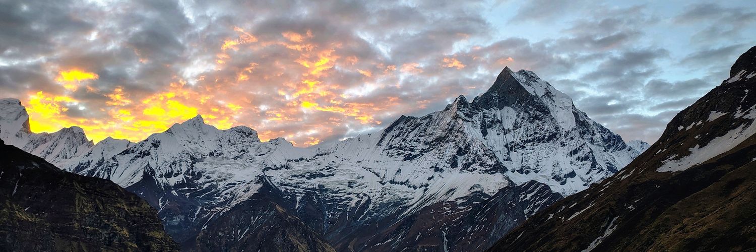 Shraddha Mehta banner