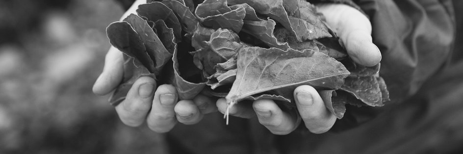 csomerschef's profile banner image