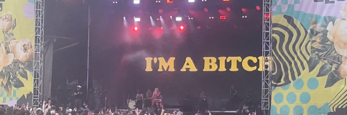literallymaggie's profile banner image