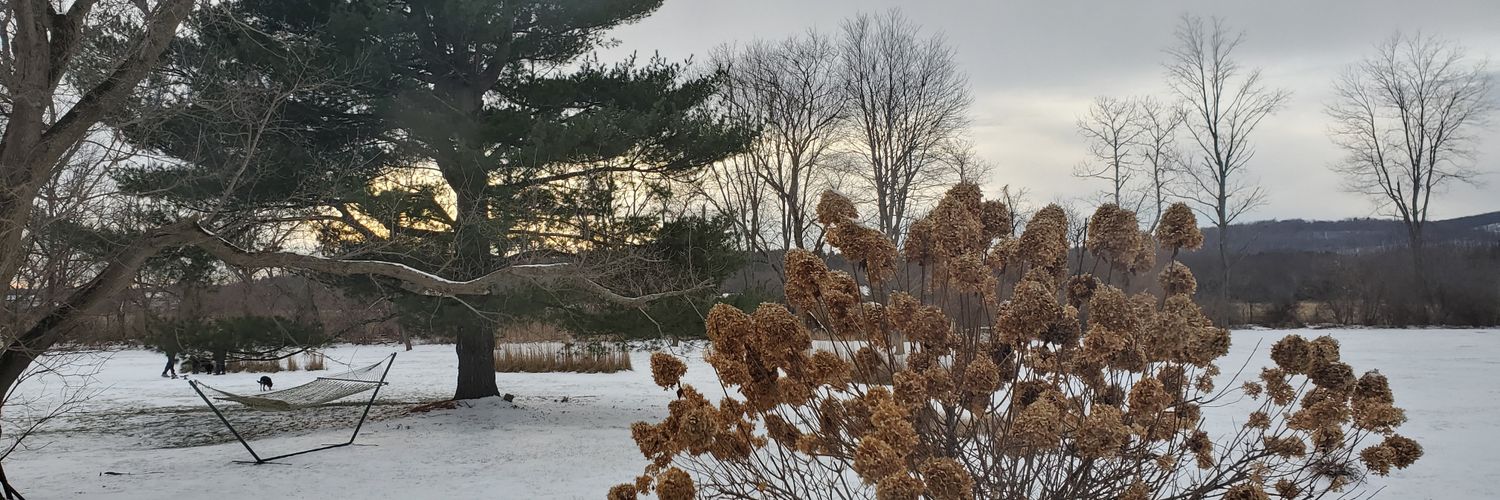 Fir Daddy 🌲 Jacob Watson banner