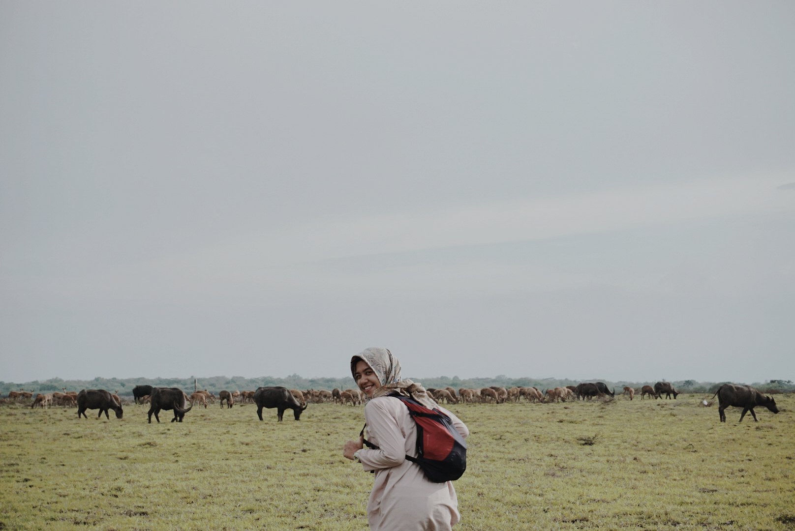 winny ind tissani banner