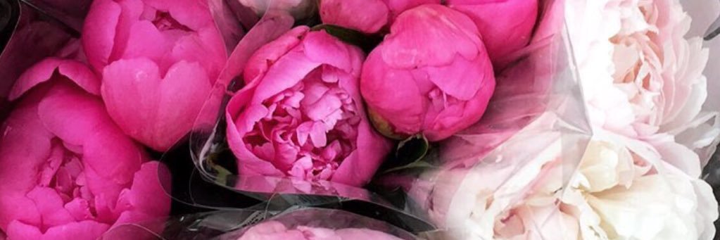jslobasso's profile banner image