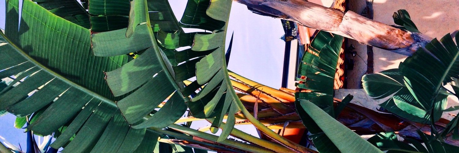 LyzellyC's profile banner image