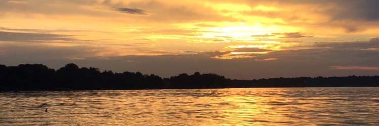 C_Wiseman13's profile banner image