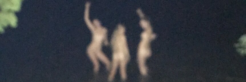 PhoenixAlix's profile banner image
