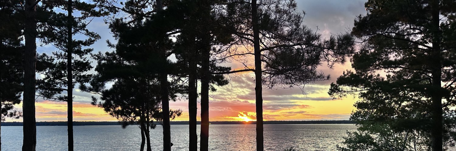 Whitman Nichols Bottari banner