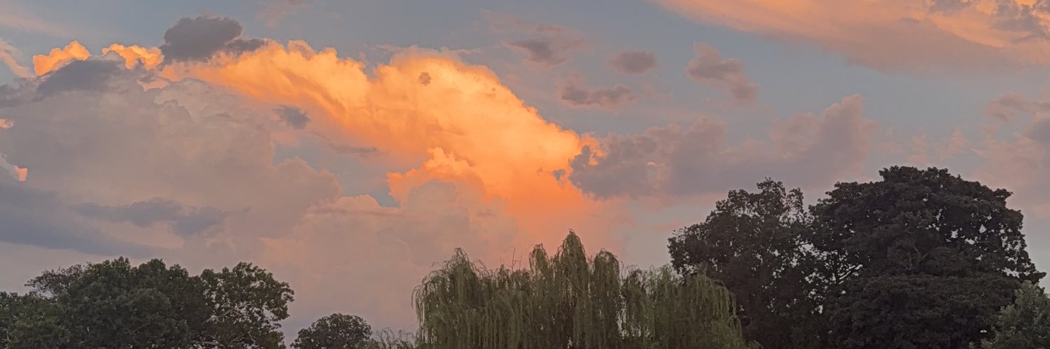 SaraHeady's profile banner image