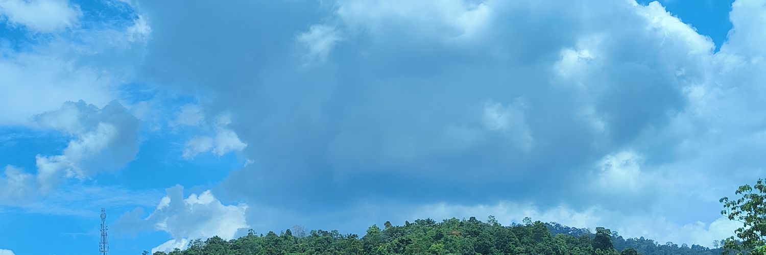 jia_241's profile banner image