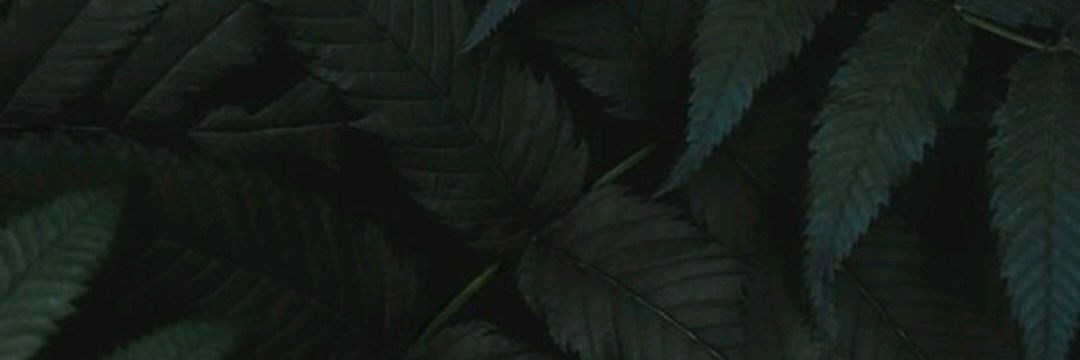 fluorescents's profile banner image