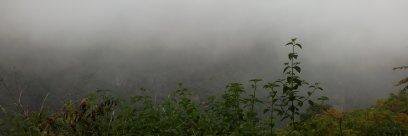 Chaittali Dave banner