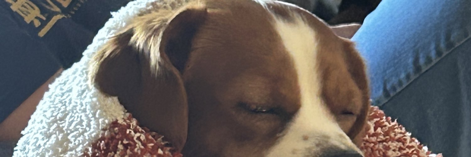 JKuldell's profile banner image