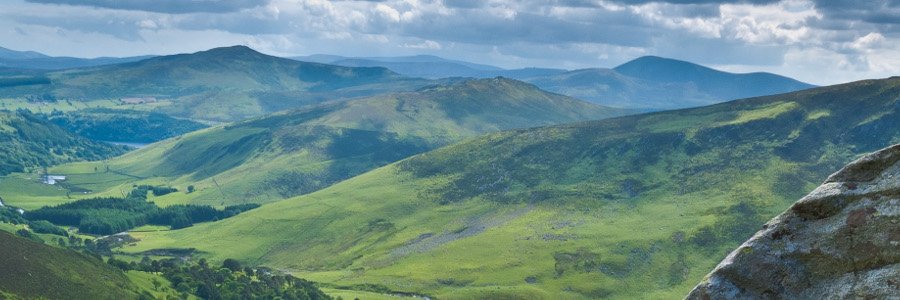 Pauls_Tweet's profile banner image