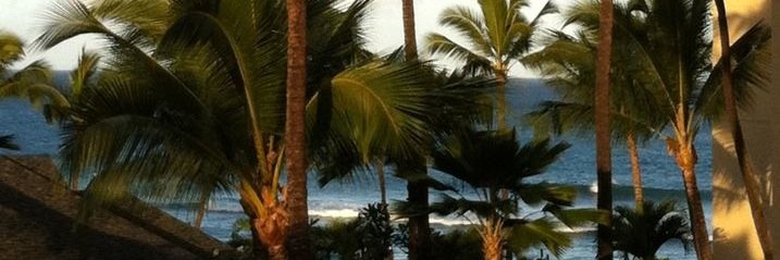 shell_333's profile banner image
