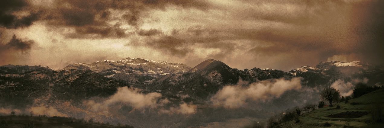 skorpia banner
