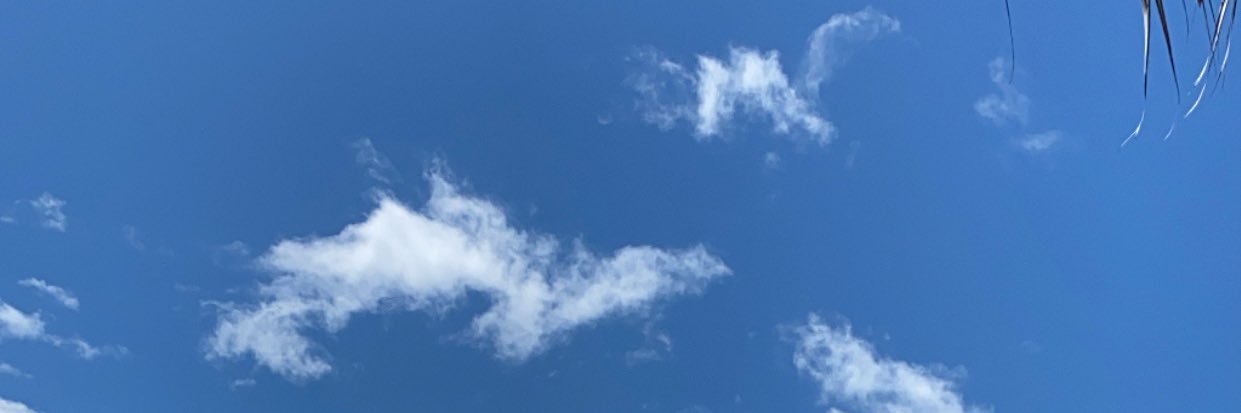 dignamelissa1's profile banner image