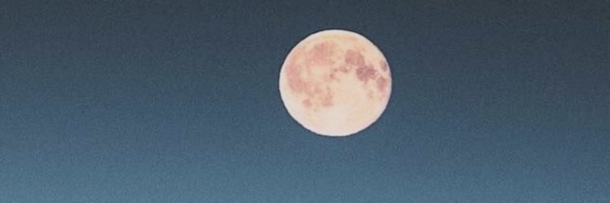 D7oom4488's profile banner image