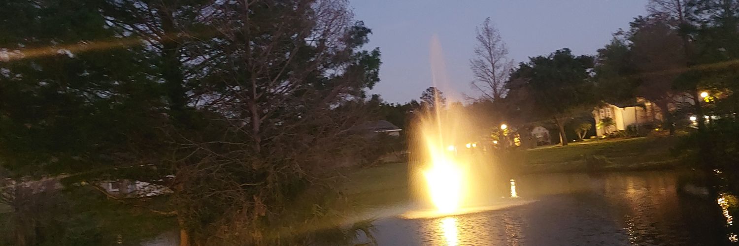dayan_david's profile banner image