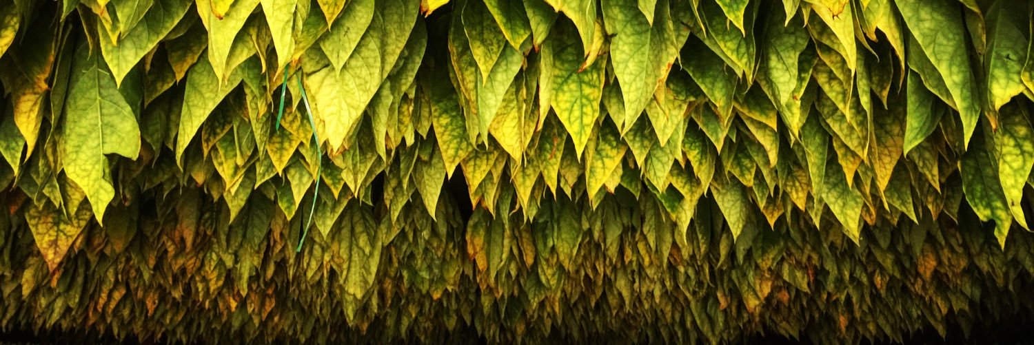 Sumatra Samurai banner