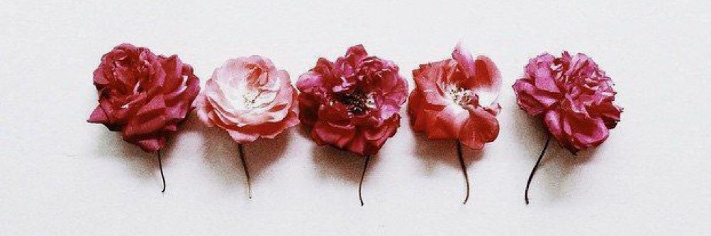 Madison_Casey14's profile banner image