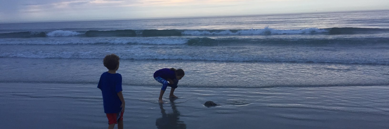 NJBeachProf's profile banner image