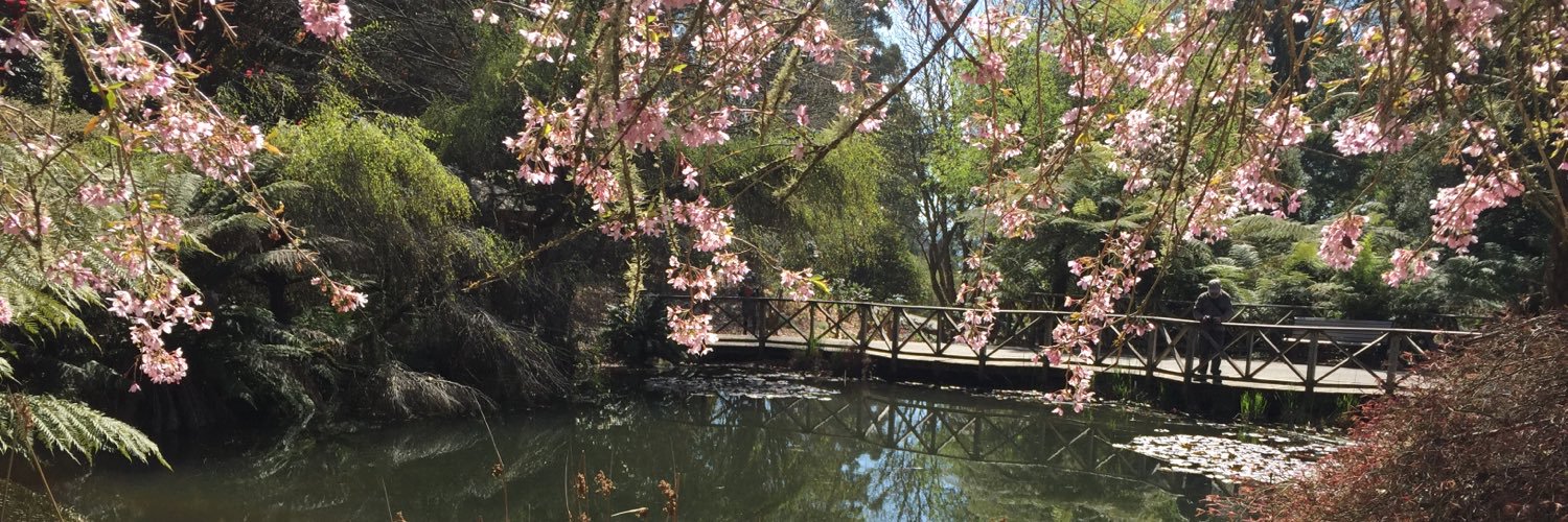 pinkbabble's profile banner image