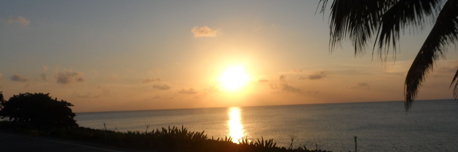 AnglicaRozo2's profile banner image