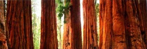 21stCent_Estate's profile banner image