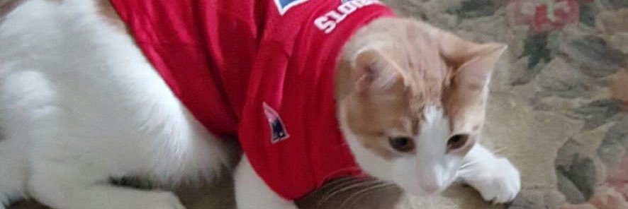 psweeneyyy33's profile banner image