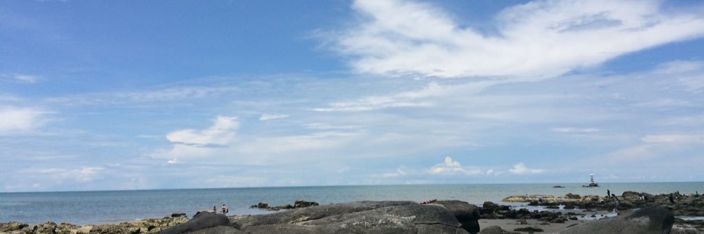 ABigPinkBear's profile banner image