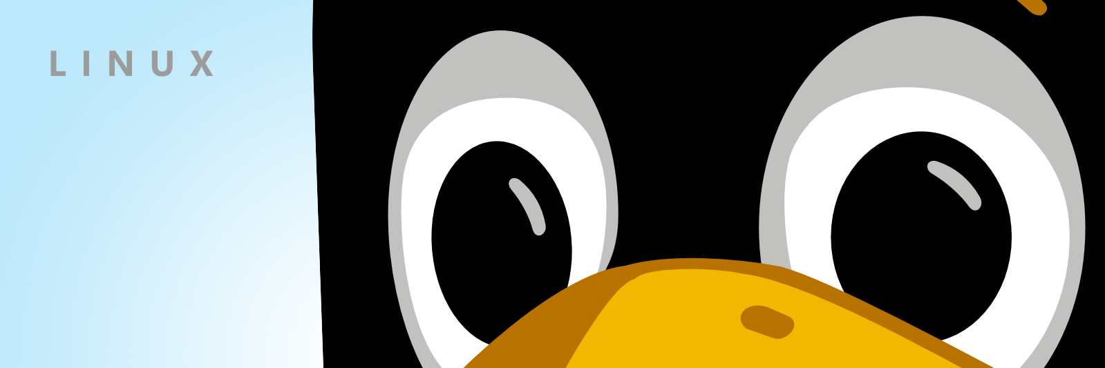 Gilligan's profile banner image