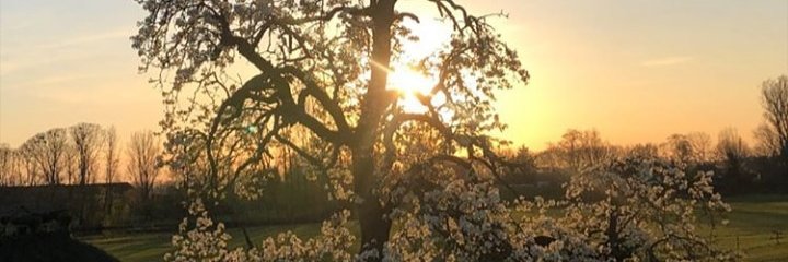 CallmeCrux's profile banner image