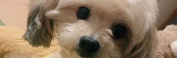 Wanu3uwanU's profile banner image