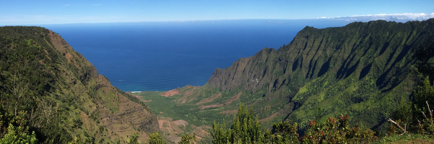 Justin Maxwell banner