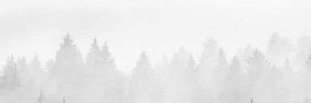 chelsirantala's profile banner image